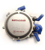 Редуктор ROYAL GAS тип VR01 до 120 л. електронний